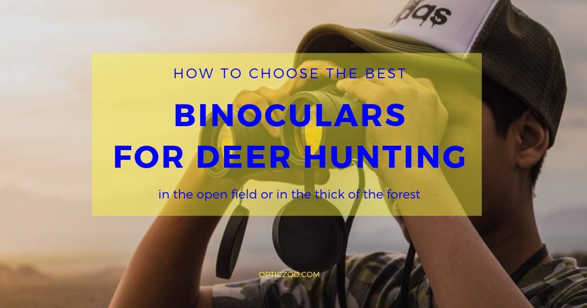 Best Binoculars For Deer Hunting