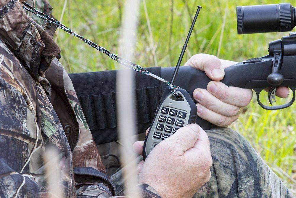 Best Electronic Coyote Calls