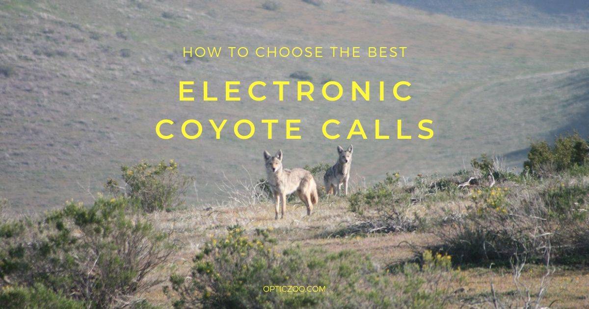 Buyer’s Guide: Best Electronic Coyote Calls 2 | OpticZoo - Best Optics Reviews and Buyers Guides