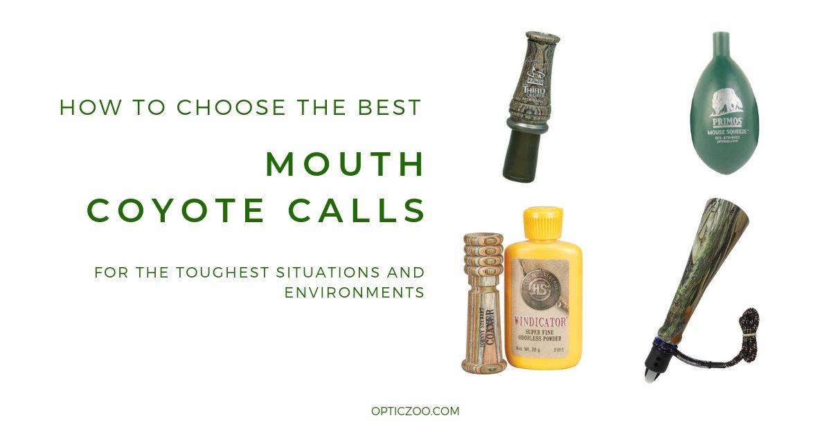 Best Mouth Coyote Calls