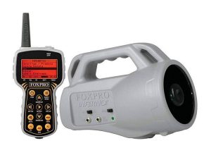 FOXPRO INF1