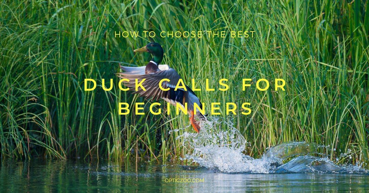Best Duck Calls for Beginners