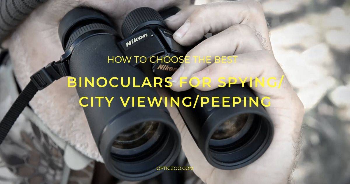 Best Binoculars For Spying/City Viewing 