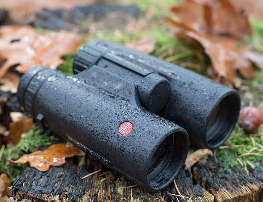 What to look out for when selecting binoculars for birding