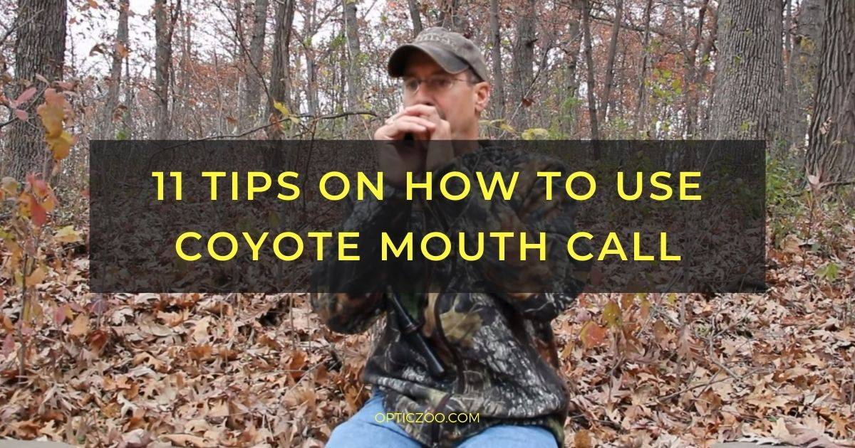 11 Tips on How to Use Coyote Mouth Call 1 | OpticZoo - Best Optics Reviews and Buyers Guides