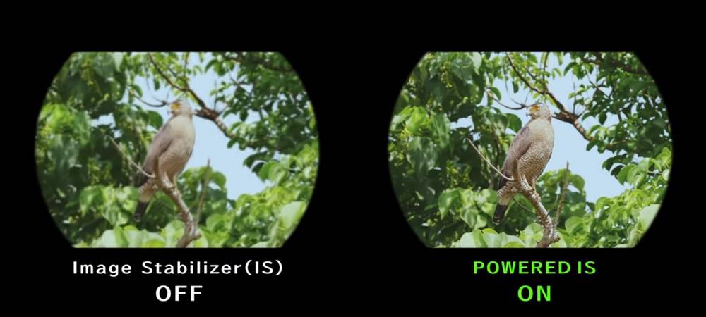 Effect of IS in Canon Image Stabilizer Binoculars
