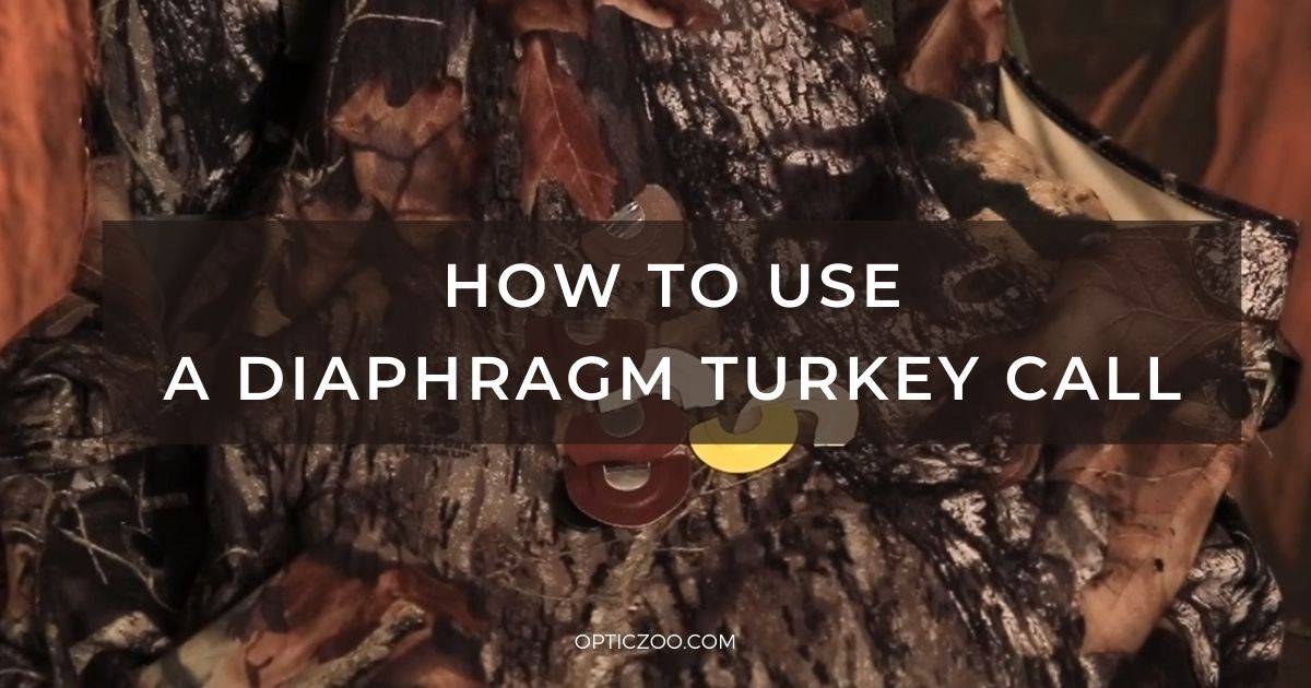 How to Use a Diaphragm Turkey Call