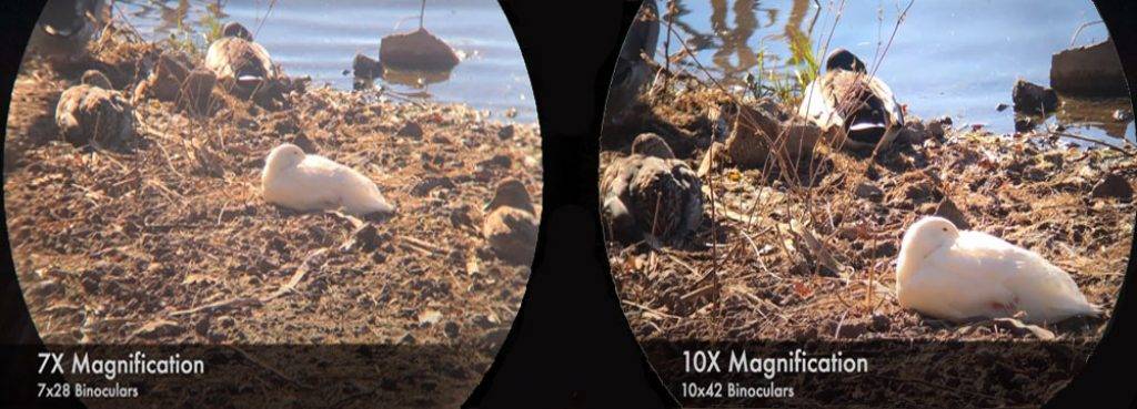The best magnification for a binocular
