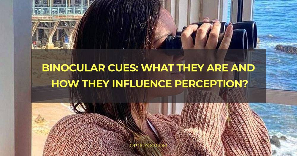 Binocular cues: what they are and how they influence perception