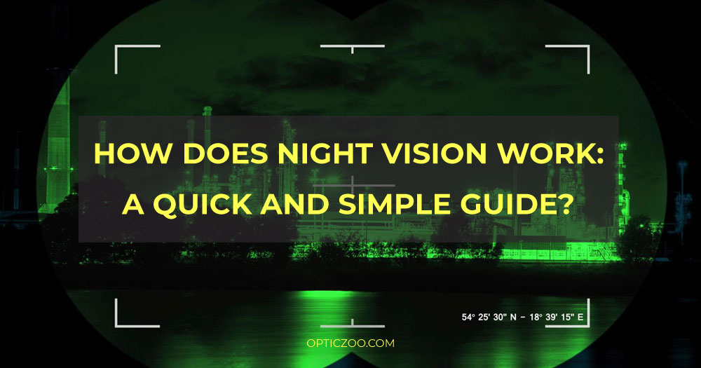 How does night vision work: a quick and simple guide