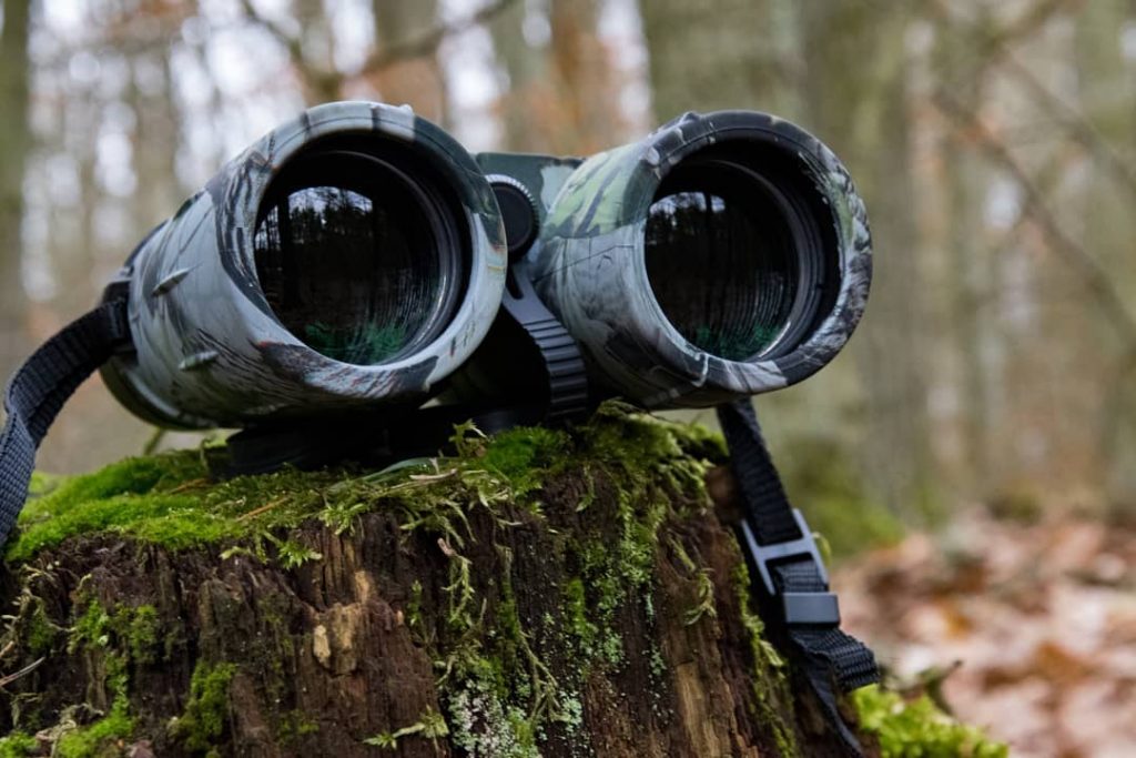 the larger objective lenses of the 10×50 binoculars allow more light to enter the system