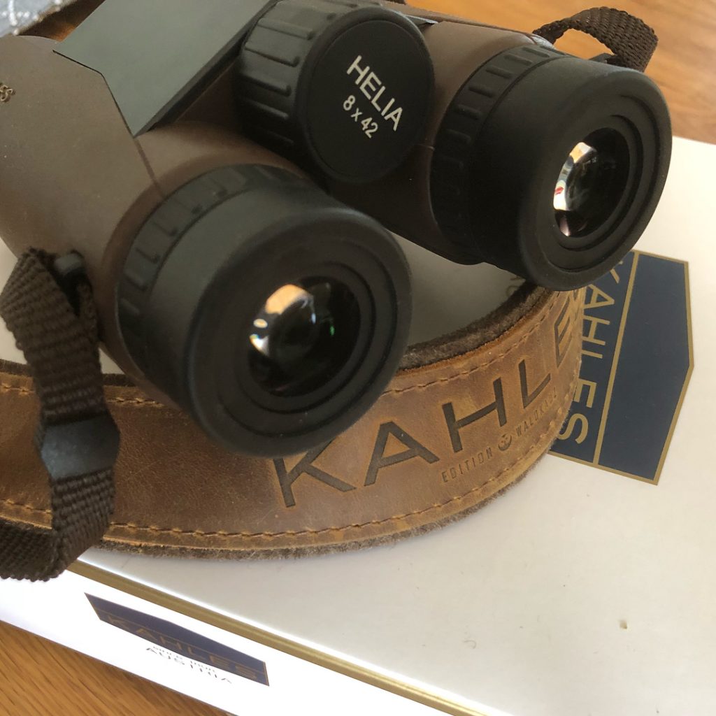 Pros & Cons of an 8X42 Binocular
