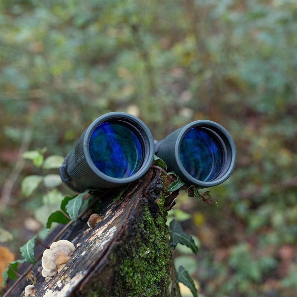 in low-light conditions, you'll want to go with a binocular that has a larger objective lens size