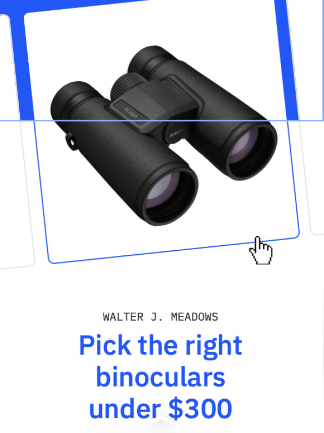 How to Choose Binoculars Under $300